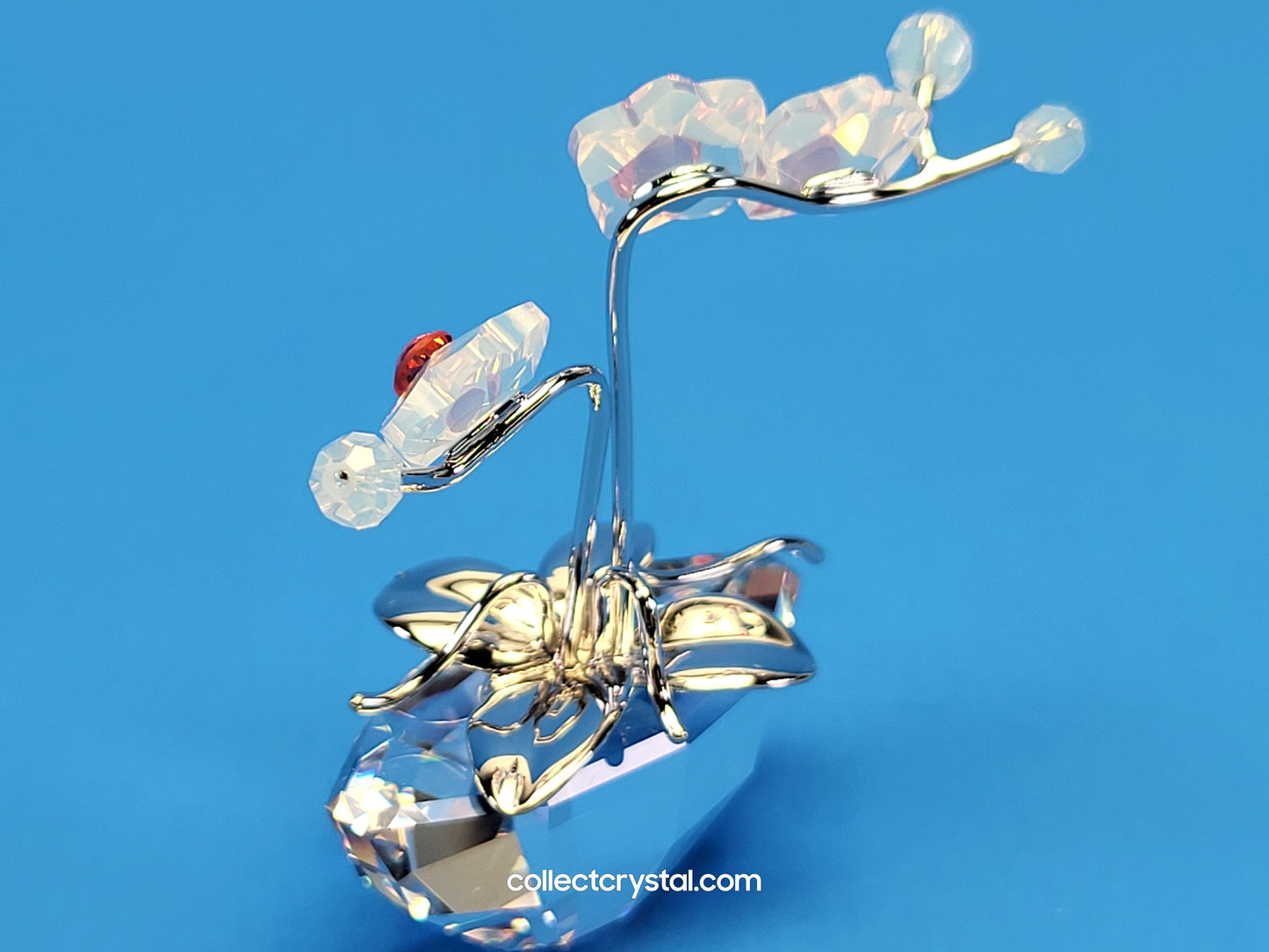 MEMORIES – ORCHID Flowers in RHODIUM Pot # 869948