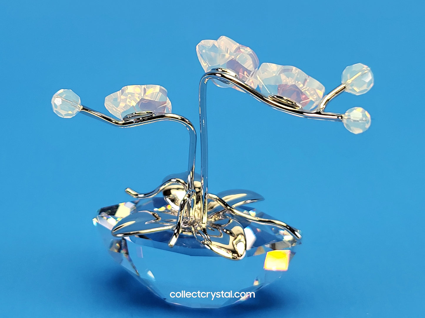 MEMORIES – ORCHID Flowers in RHODIUM Pot # 869948
