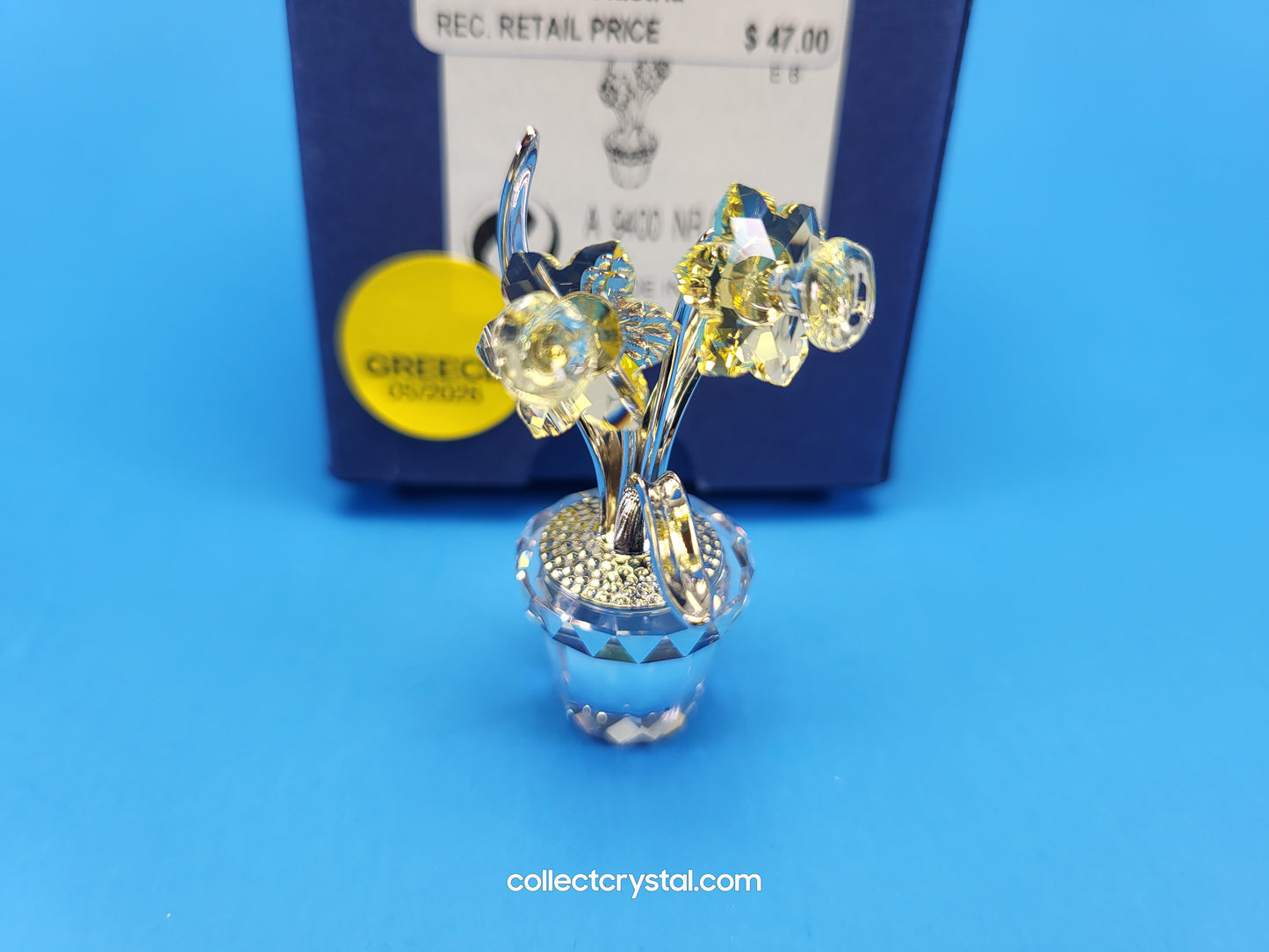 MEMORIES – NARCISSUS Flower n Pot in RHODIUM # 855898