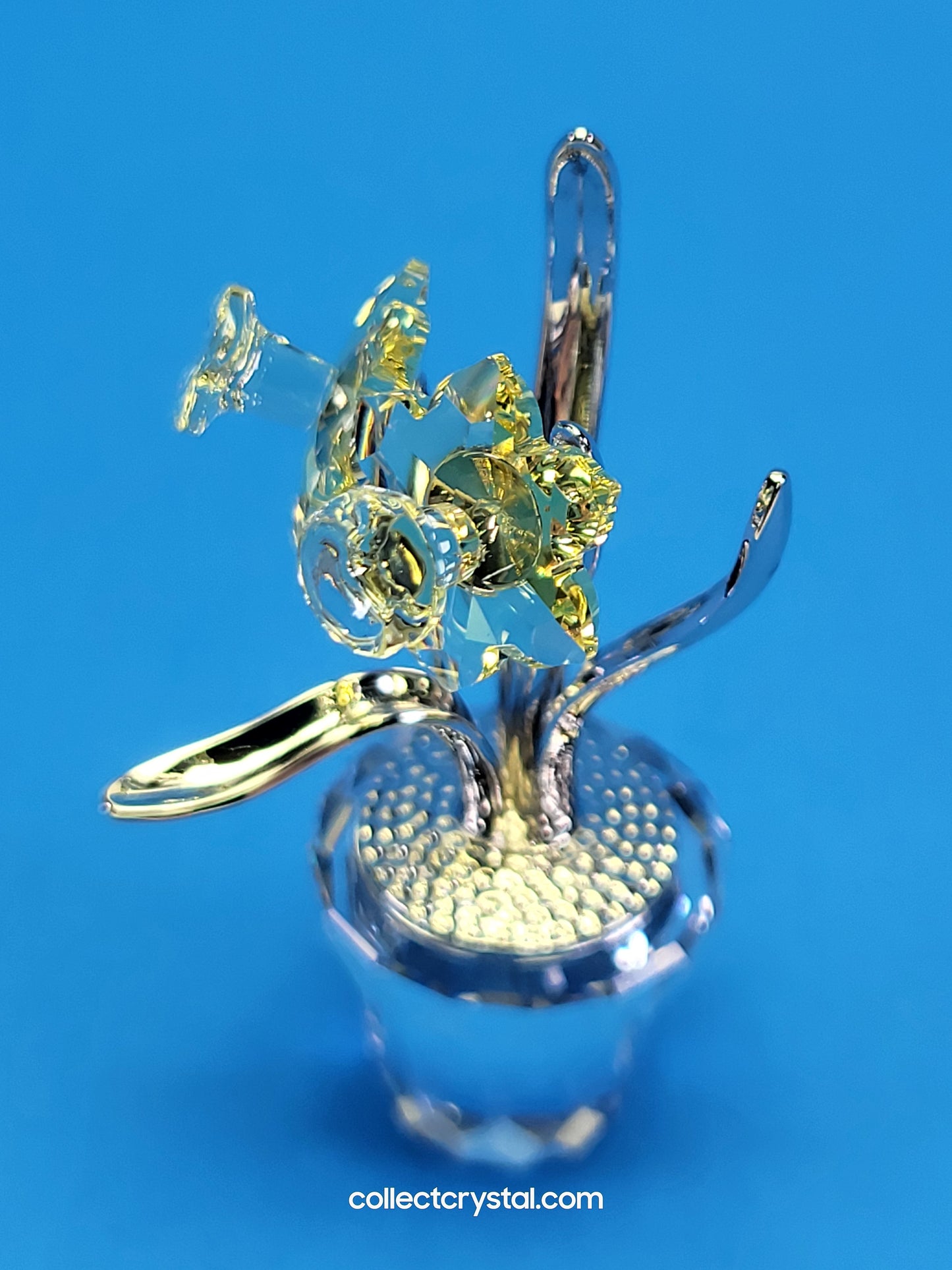 MEMORIES – NARCISSUS Flower n Pot in RHODIUM # 855898