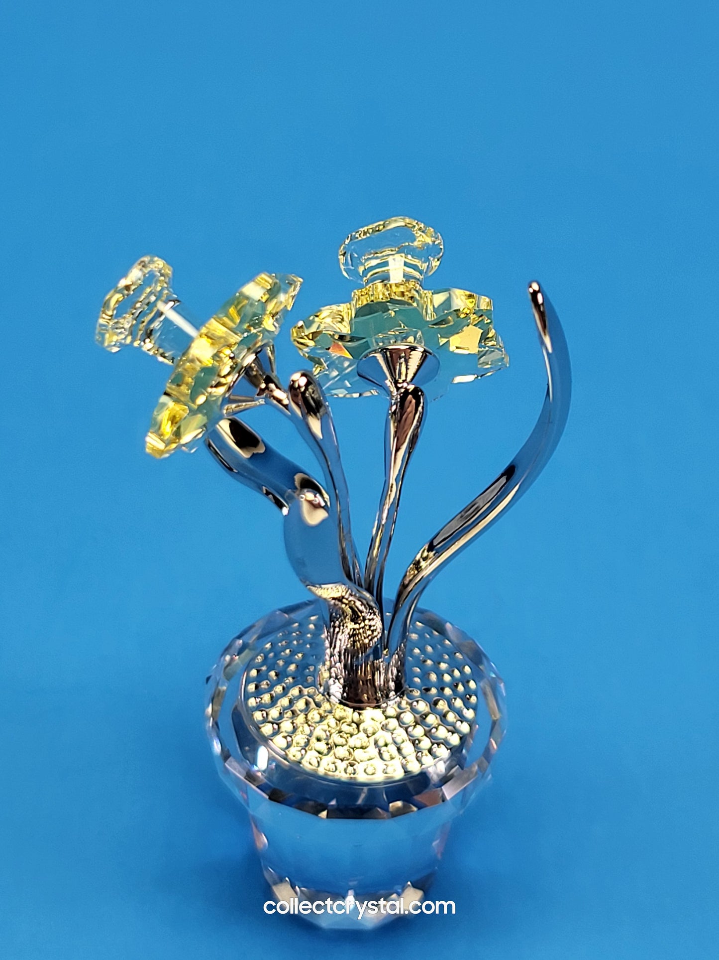 MEMORIES – NARCISSUS Flower n Pot in RHODIUM # 855898