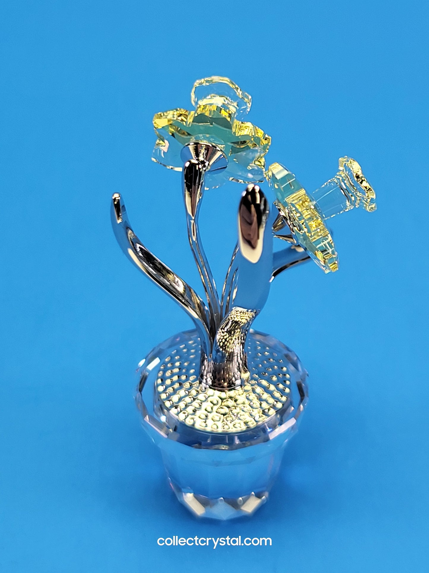 MEMORIES – NARCISSUS Flower n Pot in RHODIUM # 855898