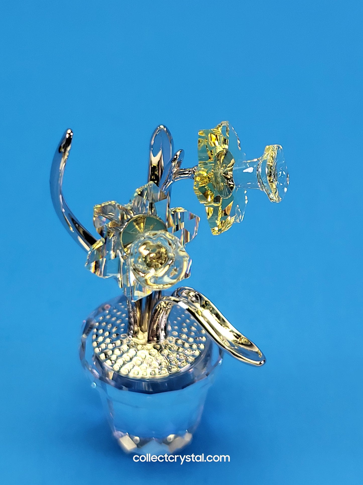 MEMORIES – NARCISSUS Flower n Pot in RHODIUM # 855898