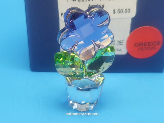 Happy Flower  - Violet Blue Flower in Clear pot # 855897