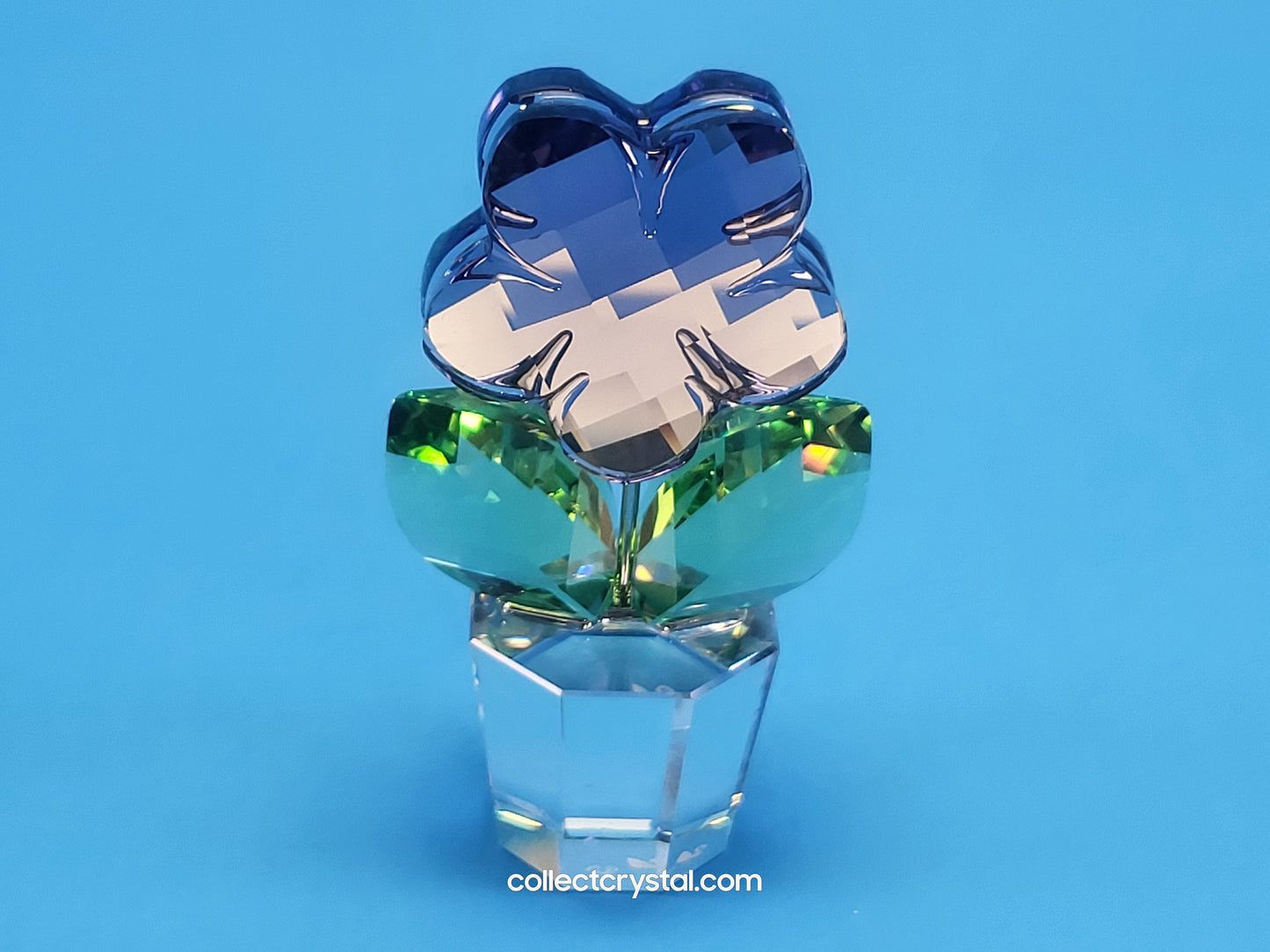 Happy Flower  - Violet Blue Flower in Clear pot # 855897