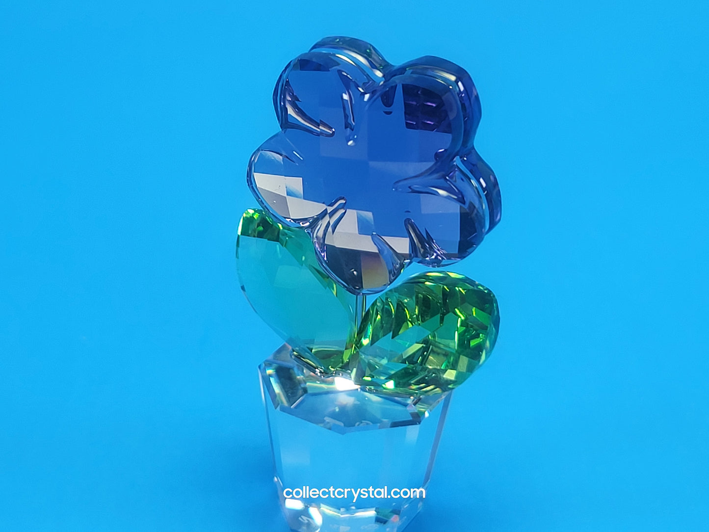 Happy Flower  - Violet Blue Flower in Clear pot # 855897