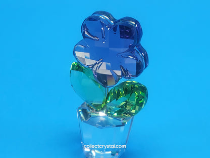 Happy Flower  - Violet Blue Flower in Clear pot # 855897