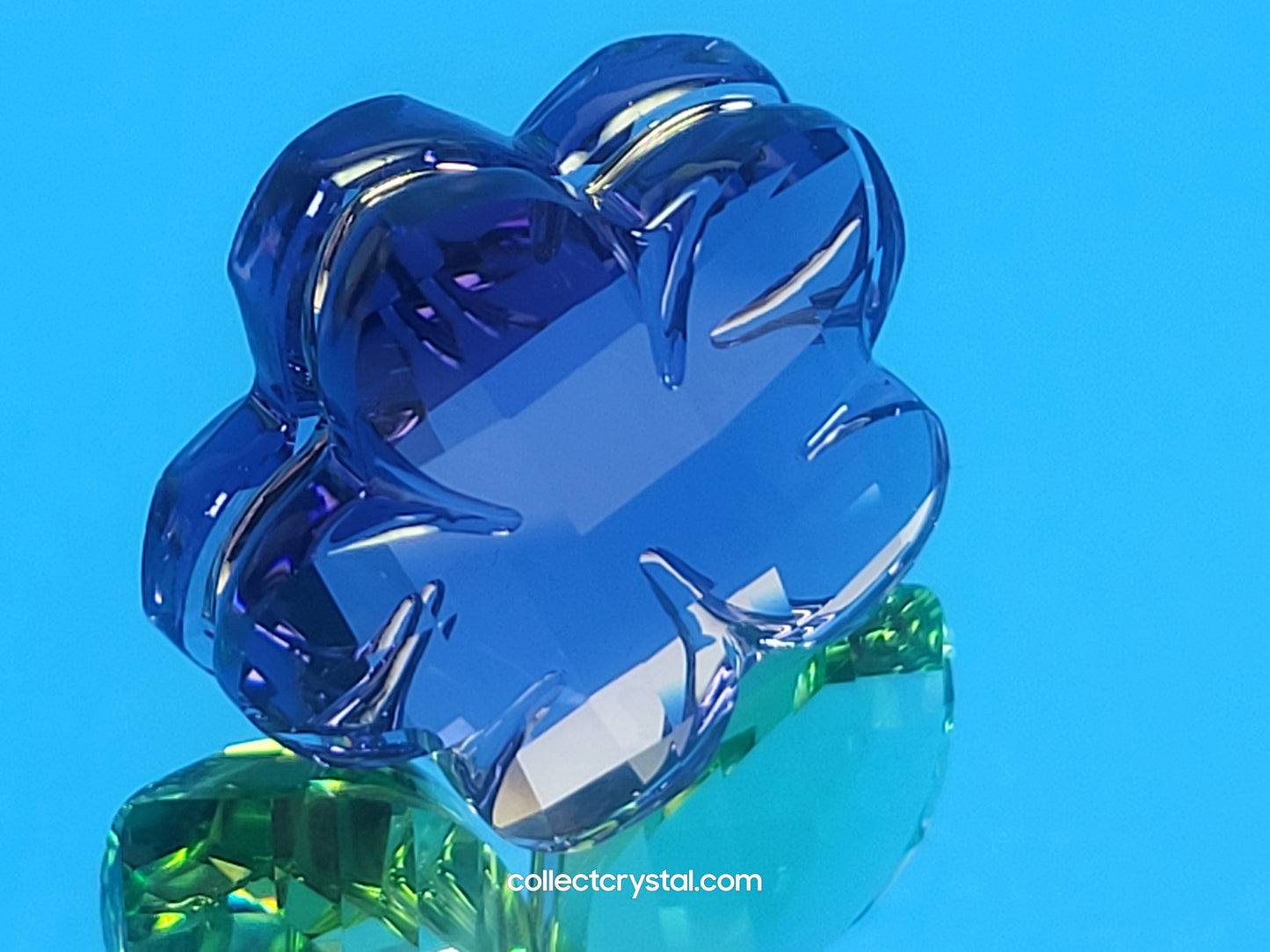 Happy Flower  - Violet Blue Flower in Clear pot # 855897