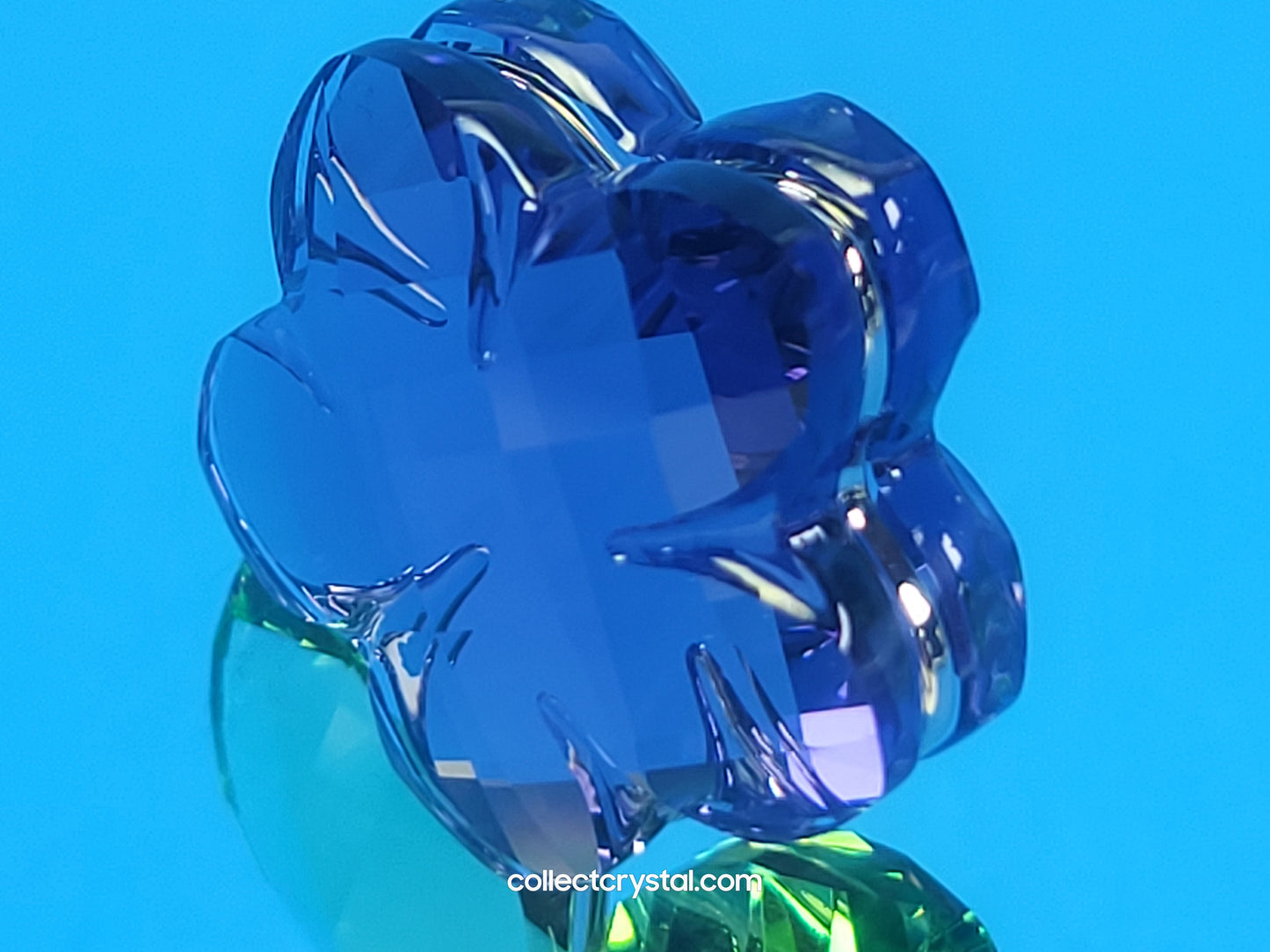 Happy Flower  - Violet Blue Flower in Clear pot # 855897