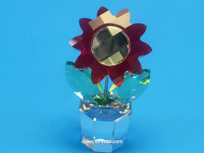 Happy Flower - Aster Red Flower in Pot # 681737