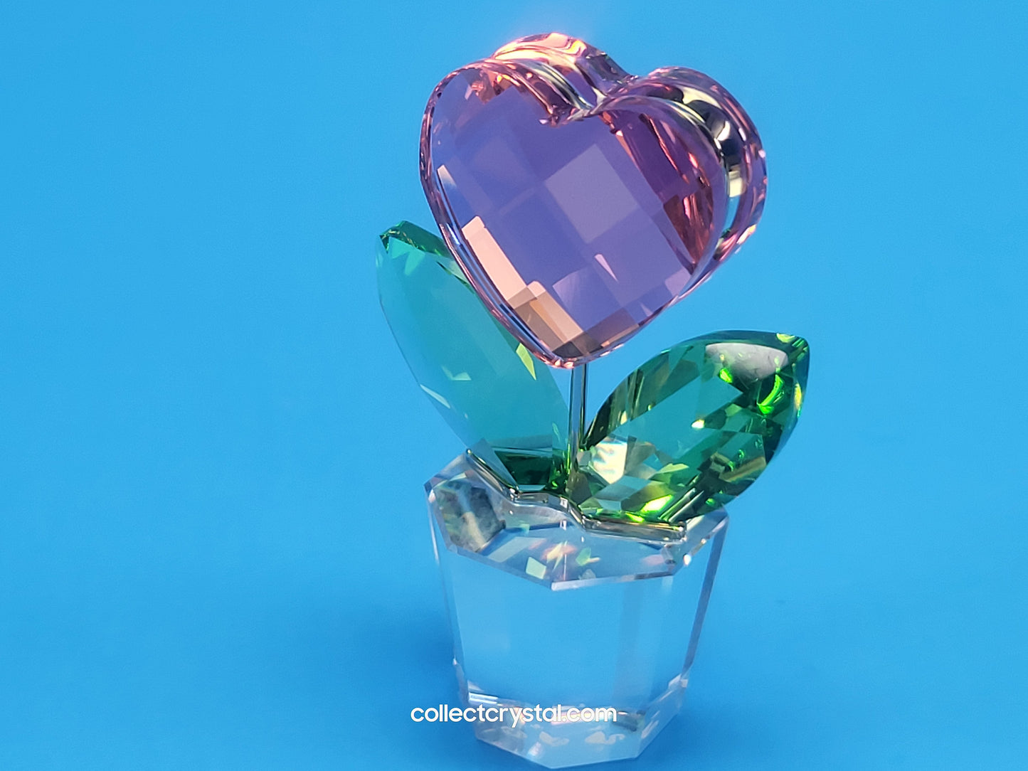 Happy Flower in a Clear Pot - Pink Heart - # 842858