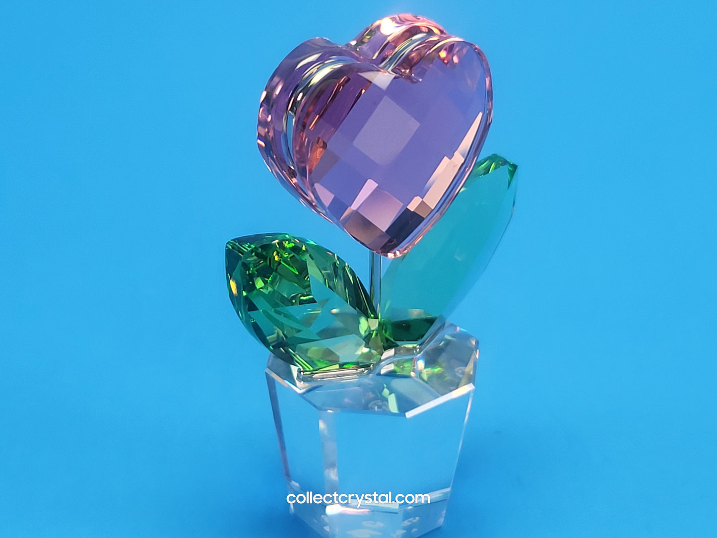 Happy Flower in a Clear Pot - Pink Heart - # 842858