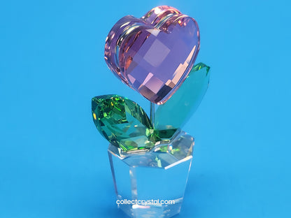 Happy Flower in a Clear Pot - Pink Heart - # 842858