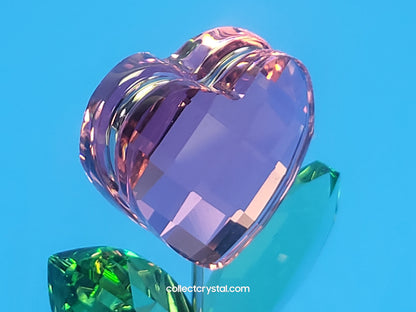 Happy Flower in a Clear Pot - Pink Heart - # 842858