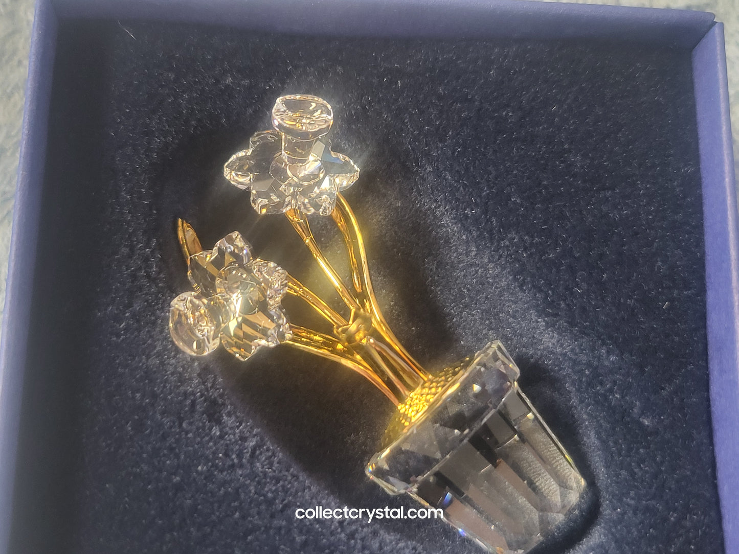CRYSTAL MEMORIES – NARCISSUS GOLD # 675652