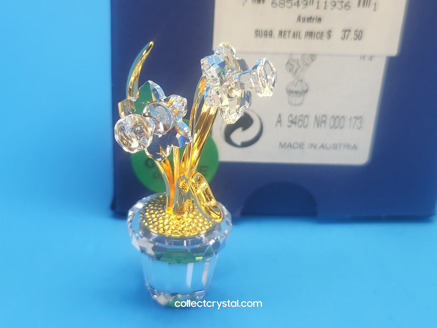 CRYSTAL MEMORIES – NARCISSUS GOLD # 675652