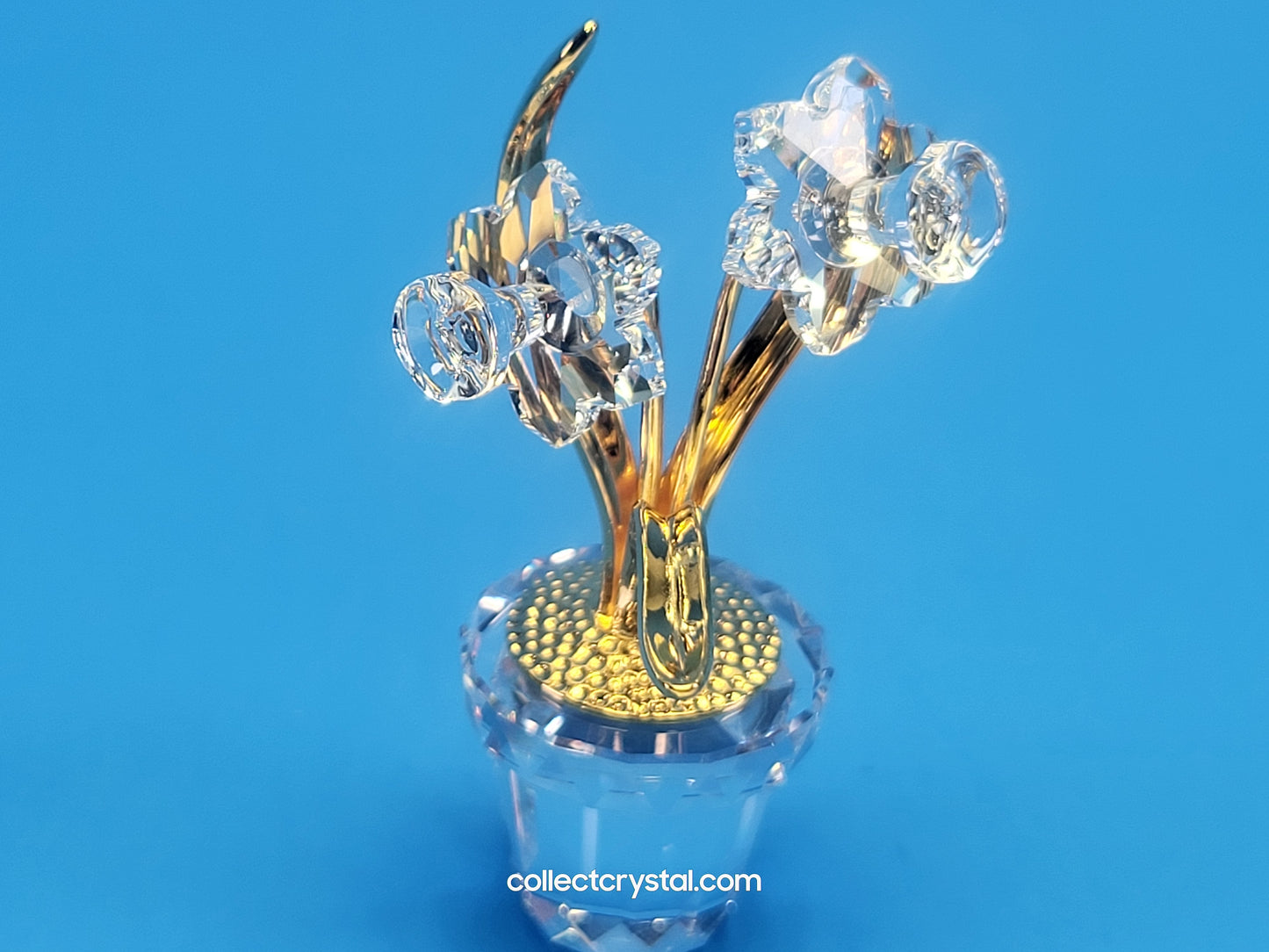CRYSTAL MEMORIES – NARCISSUS GOLD # 675652