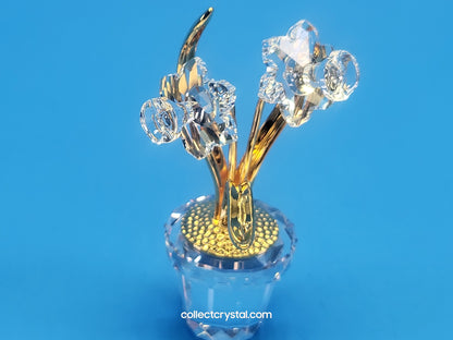 CRYSTAL MEMORIES – NARCISSUS GOLD # 675652