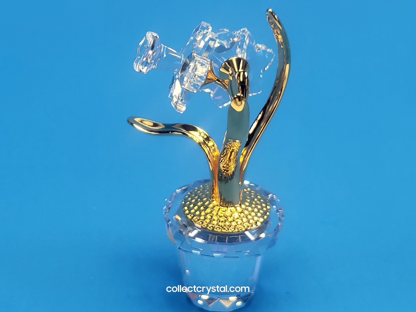 CRYSTAL MEMORIES – NARCISSUS GOLD # 675652