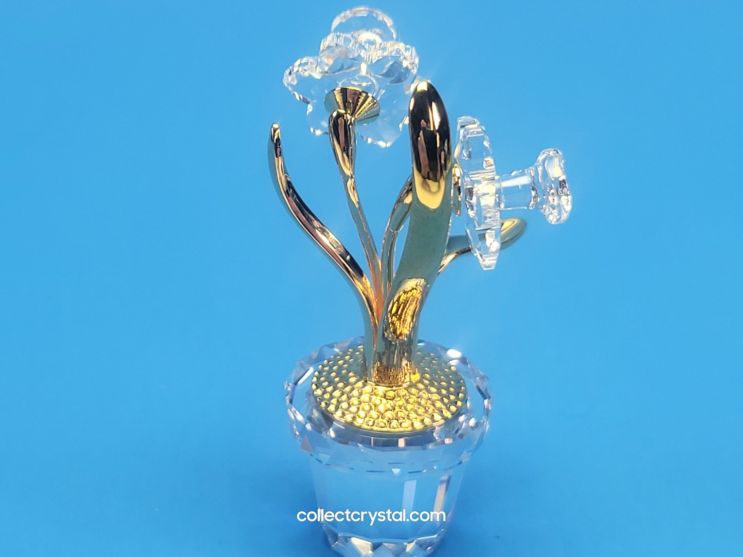 CRYSTAL MEMORIES – NARCISSUS GOLD # 675652