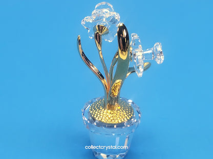 CRYSTAL MEMORIES – NARCISSUS GOLD # 675652