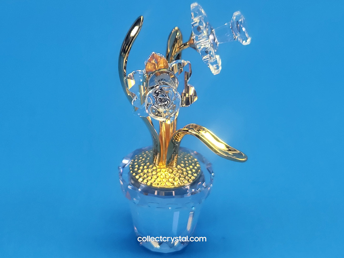 CRYSTAL MEMORIES – NARCISSUS GOLD # 675652