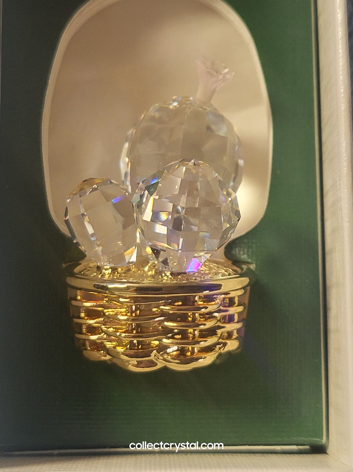 CRYSTAL MEMORIES – CACTUS GOLD / ROSALINE 235727