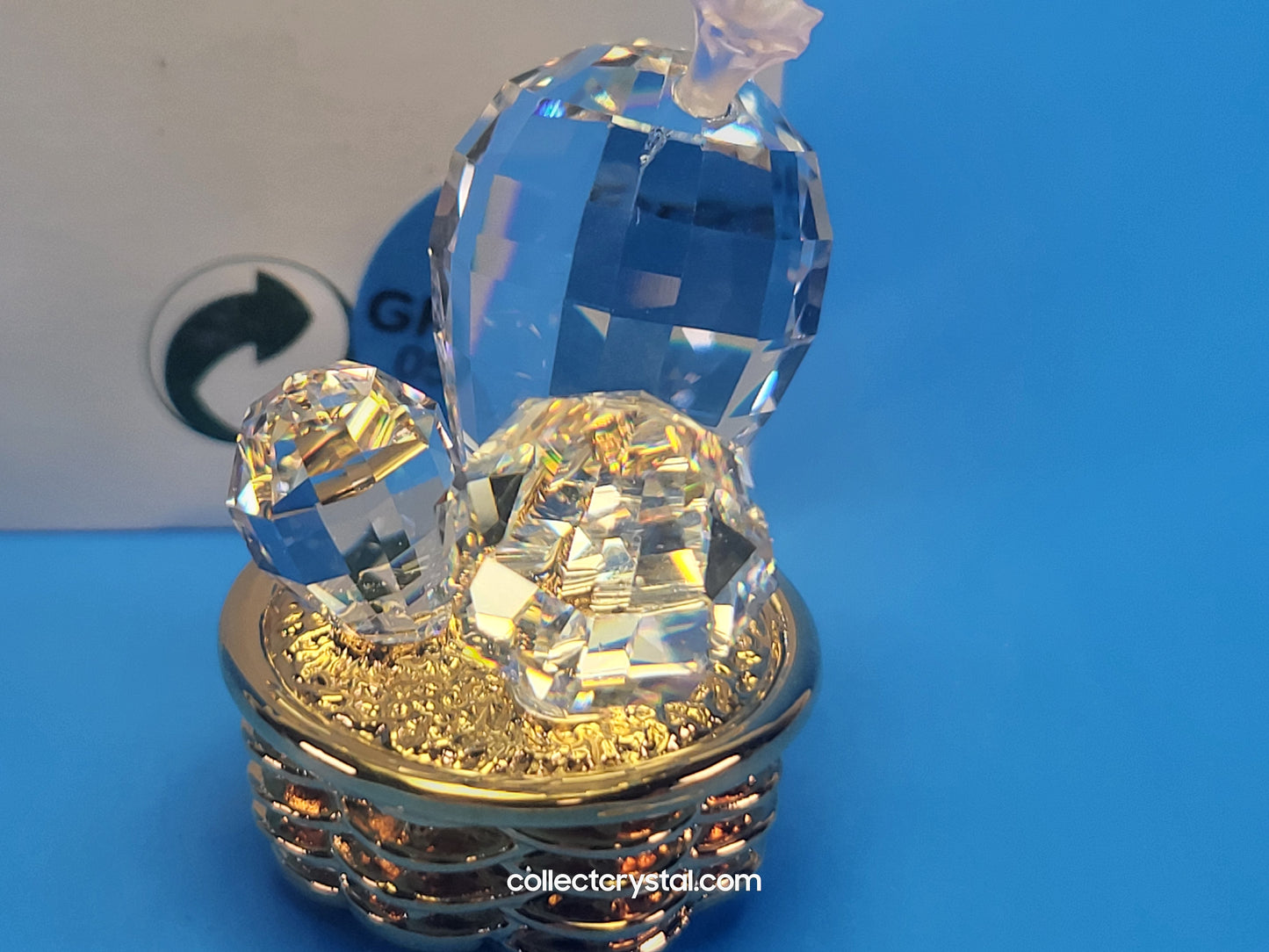 CRYSTAL MEMORIES – CACTUS GOLD / ROSALINE 235727
