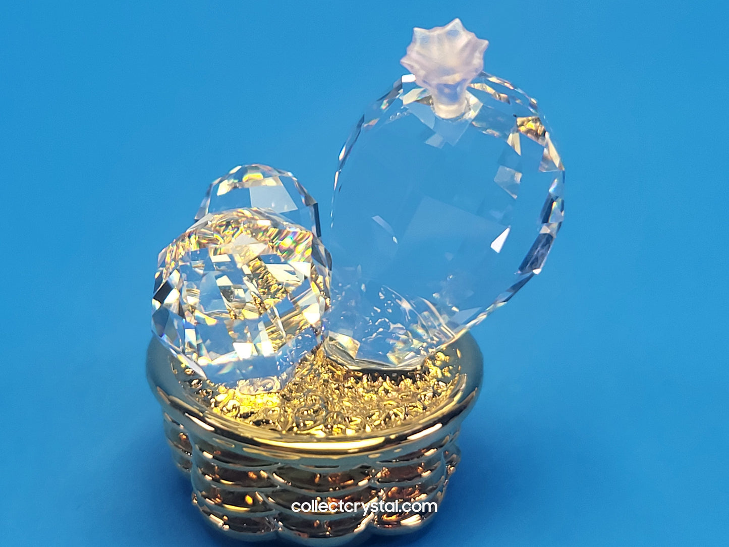 CRYSTAL MEMORIES – CACTUS GOLD / ROSALINE 235727