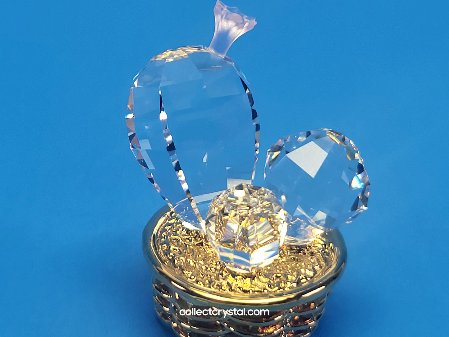 CRYSTAL MEMORIES – CACTUS GOLD / ROSALINE 235727