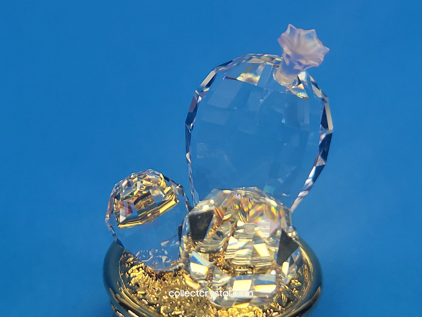 CRYSTAL MEMORIES – CACTUS GOLD / ROSALINE 235727