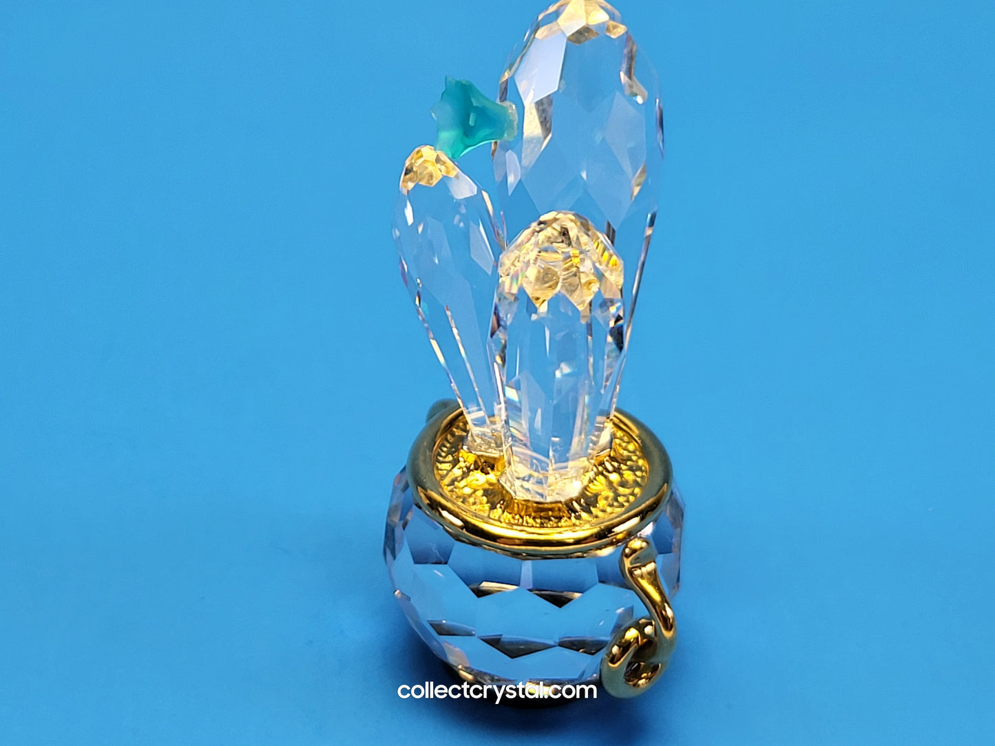 CRYSTAL MEMORIES – CACTUS GOLD / BLUE ZIRCON 235904