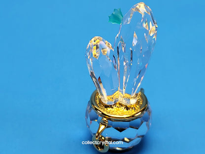 CRYSTAL MEMORIES – CACTUS GOLD / BLUE ZIRCON 235904