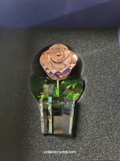 HAPPY FLOWER - MEDIUM - PINK ROSE W CLEAR POT # 872197