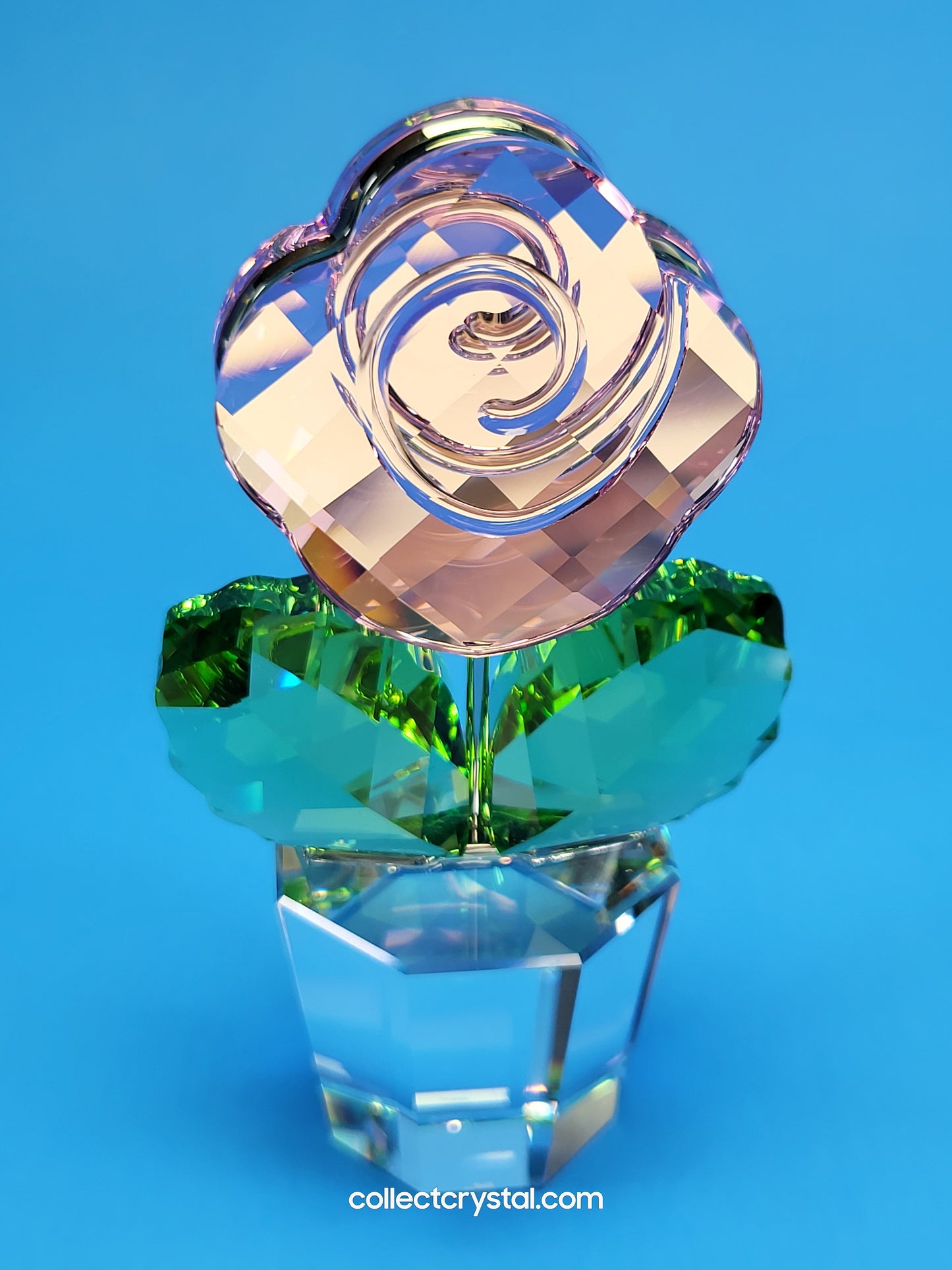 HAPPY FLOWER - MEDIUM - PINK ROSE W CLEAR POT # 872197