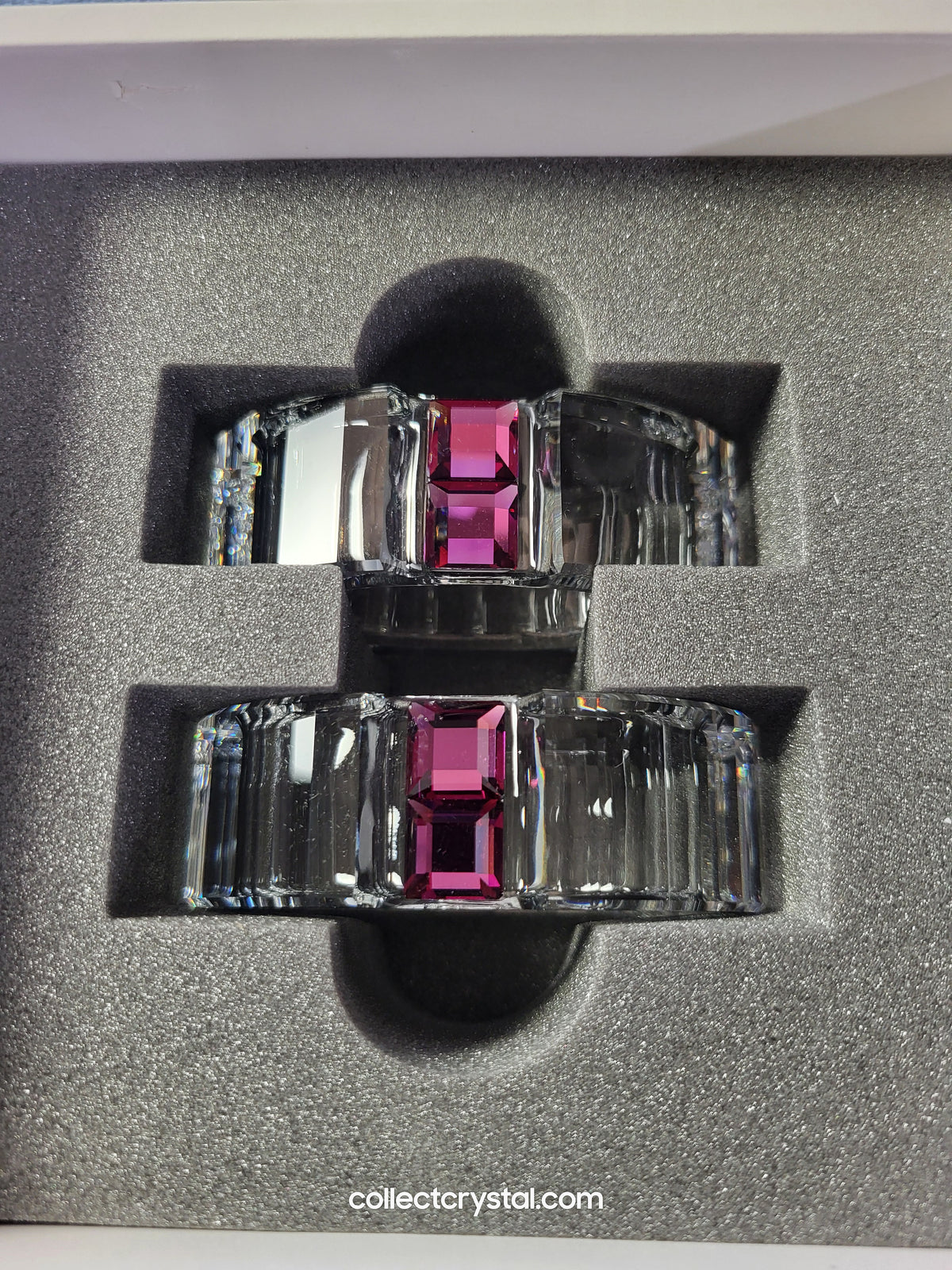 NAPKIN RING – RAINBOW FUCHSIA (SET OF 2) 276684