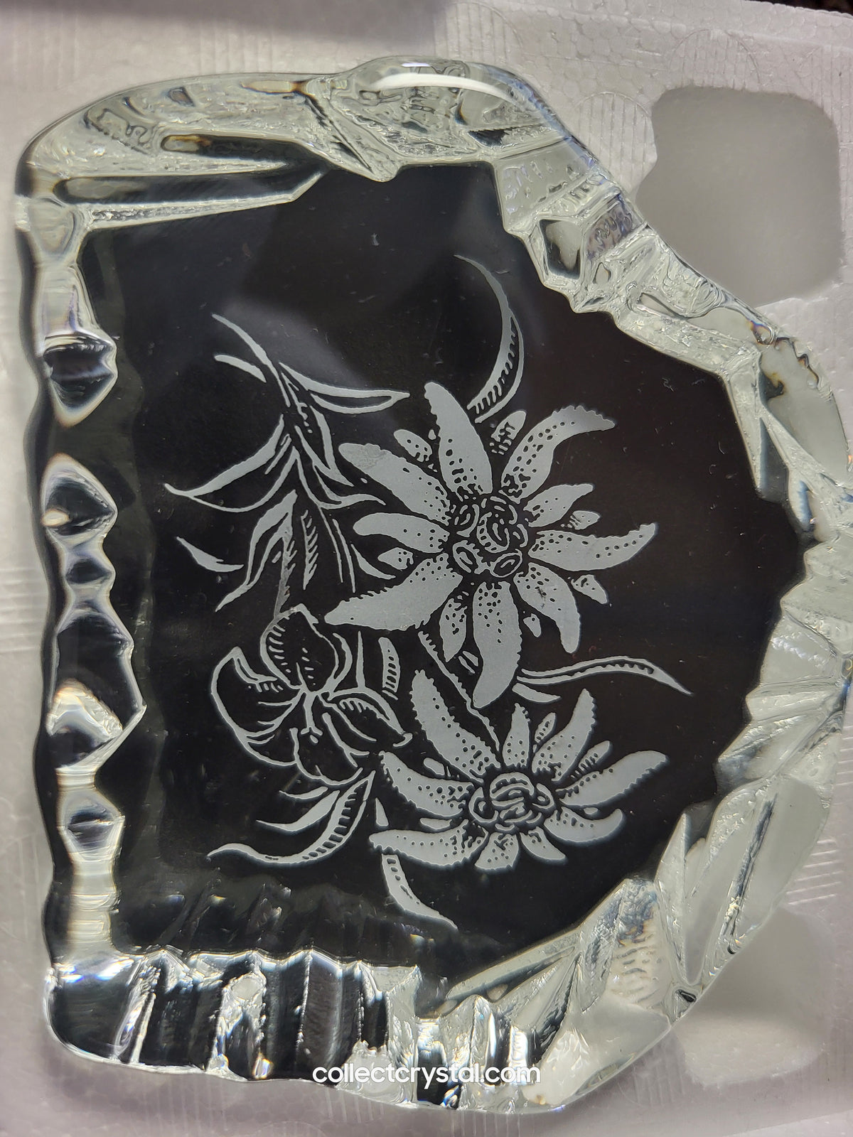 EDELWIESS FLOWERS SOUVENIR CRYSTAL REVERSED-ETCHED PAPERWEIGHT 9503 148 444