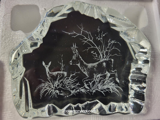 STAG & DOE DEER SOUVENIR REVERSED-ETCHED PAPERWEIGHT # 9503 M839