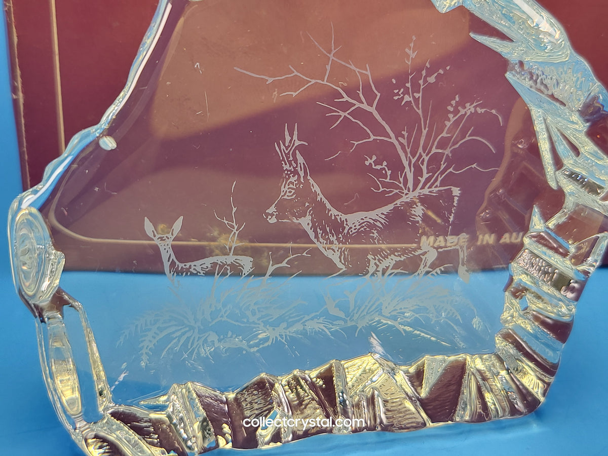 STAG & DOE DEER SOUVENIR REVERSED-ETCHED PAPERWEIGHT # 9503 M839