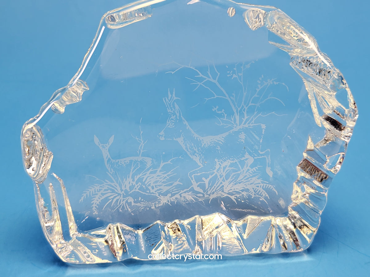 STAG & DOE DEER SOUVENIR REVERSED-ETCHED PAPERWEIGHT # 9503 M839