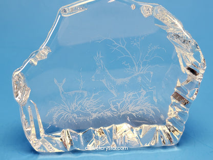 STAG & DOE DEER SOUVENIR REVERSED-ETCHED PAPERWEIGHT # 9503 M839