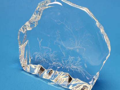 STAG & DOE DEER SOUVENIR REVERSED-ETCHED PAPERWEIGHT # 9503 M839