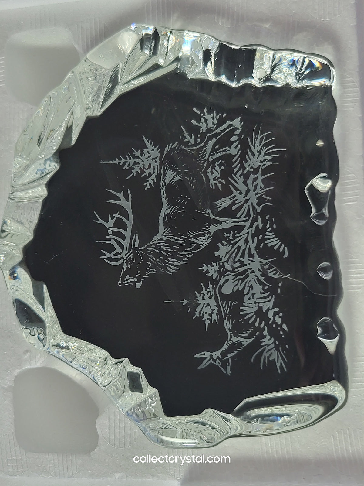 STAG SOUVENIR REVERSED-ETCHED PAPERWEIGHT # 9503 M842