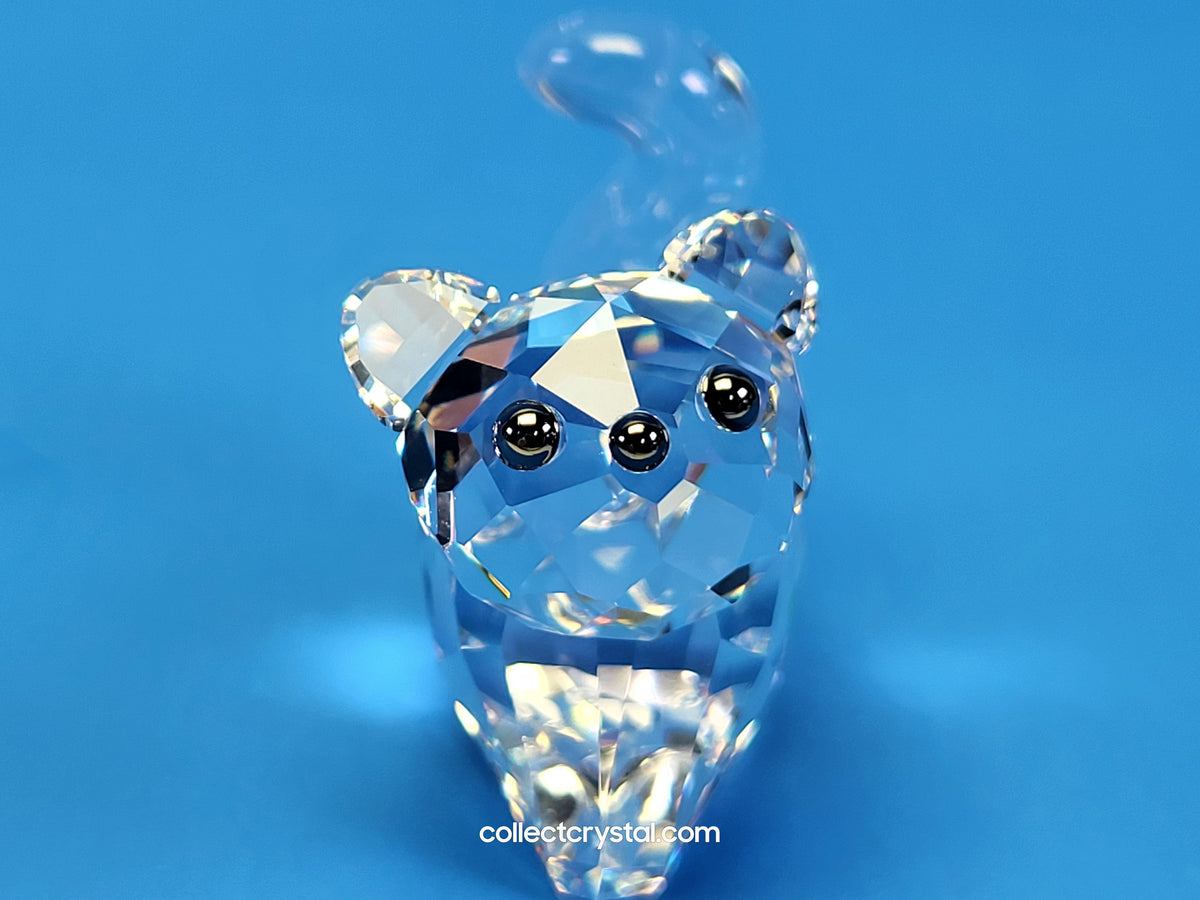 LOVLOTS PIONEERS – LIL OF BLING CAT 843547