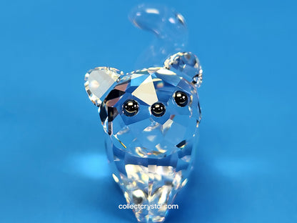 LOVLOTS PIONEERS – LIL OF BLING CAT 843547