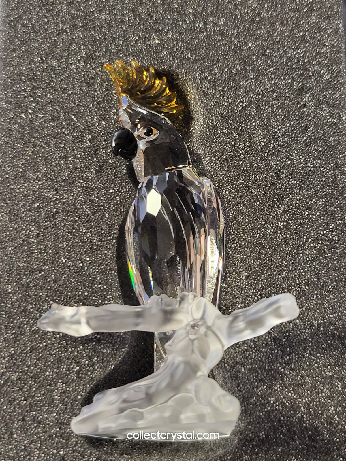 Cockatoo Parrot Bird # 261635