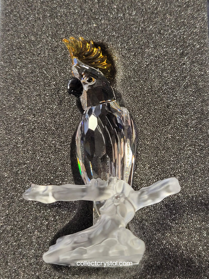 Cockatoo Parrot Bird # 261635
