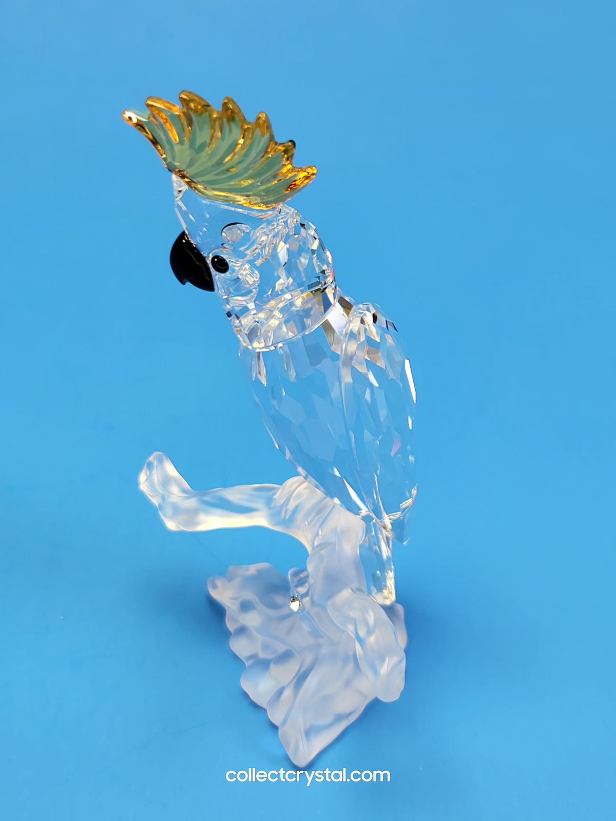 Cockatoo Parrot Bird # 261635
