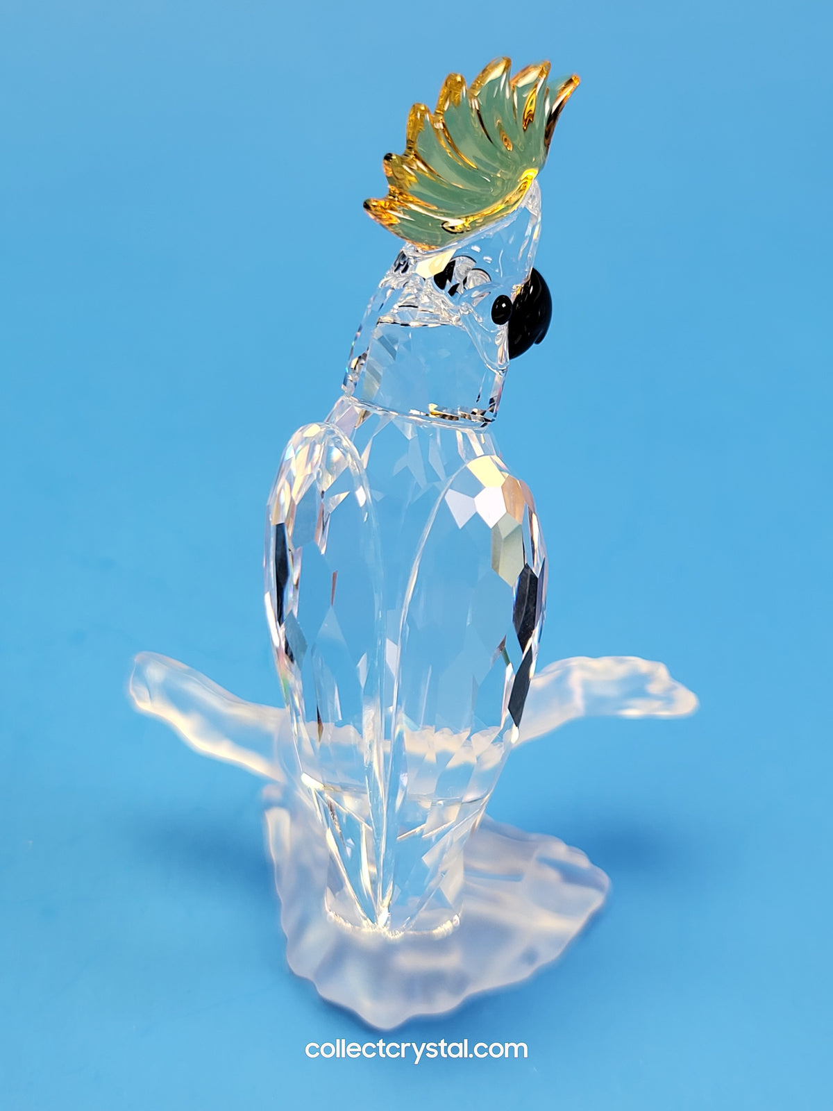Cockatoo Parrot Bird # 261635