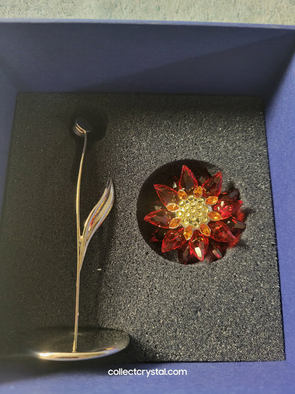PARADISE FLOWERS – DOMONI LIGHT SIAM flower # 848452